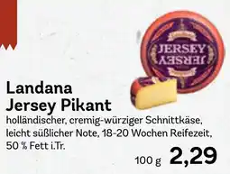 AEZ Landana Jersey Pikant Angebot