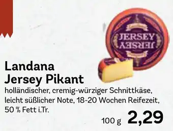 AEZ Landana Jersey Pikant Angebot