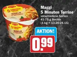 AEZ Maggi 5 Minuten Terrine Angebot