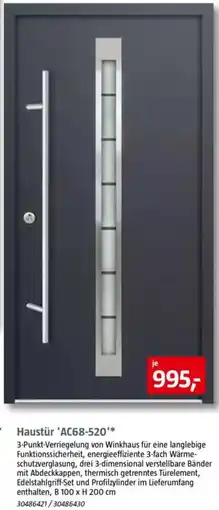 Bauhaus Haustür 'AC68-520 Angebot