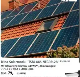 Bauhaus Trina Solarmodul 'TSM-445 NEG9R.28' Angebot