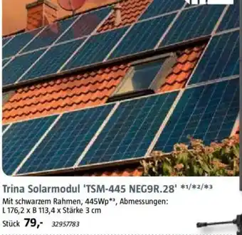 Bauhaus Trina Solarmodul 'TSM-445 NEG9R.28' Angebot