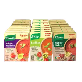 Netto Marken-Discount Knorr Tomate al Gusto 370g sortiert, 24er Pack Angebot