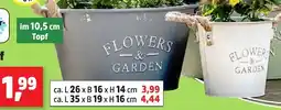 Thomas Philipps Zink-Pflanztopf Angebot