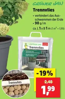 Thomas Philipps GRÜNER JAN Trennvlies Angebot