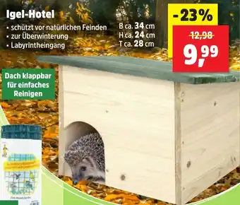 Thomas Philipps Igel-Hotel Angebot