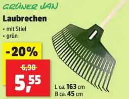 Thomas Philipps GRÜNER JAN Laubrechen Angebot