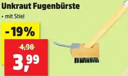 Thomas Philipps Unkraut Fugenbürste Angebot