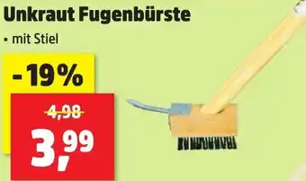 Thomas Philipps Unkraut Fugenbürste Angebot