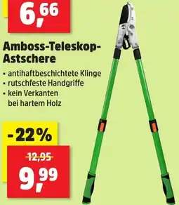 Thomas Philipps Amboss-Teleskop Astschere Angebot