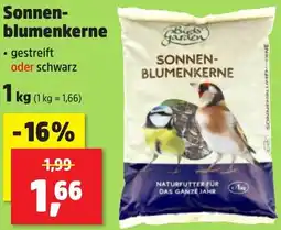 Thomas Philipps Bird's Garden Sonnenblumenkerne Angebot
