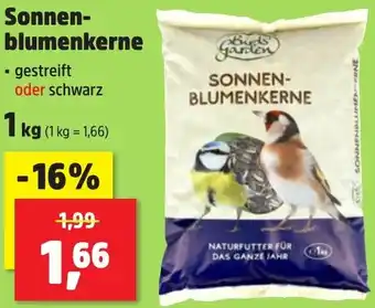 Thomas Philipps Bird's Garden Sonnenblumenkerne Angebot