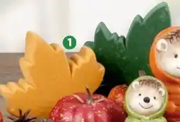 Thomas Philipps Herbstblatt Angebot