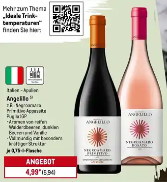 METRO Italien - Apulien Angelillo Angebot
