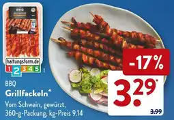 Aldi Süd Grillfackeln Angebot