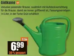 V Baumarkt Gießkanne Angebot