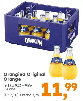 Globus Baumarkt Orangina Original Orange Angebot