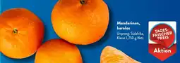 Aldi Süd Mandarinen, kernlos Angebot