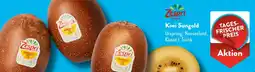 Aldi Süd Zespri Kiwi Sungold Angebot
