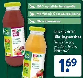 Aldi Süd NUR NUR NATUR Bio-Ingwershot Angebot