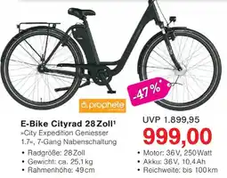 Wiglo Wunderland E-Bike Cityrad 28 Zoll Angebot