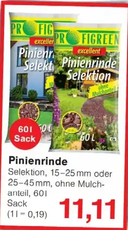 Wiglo Wunderland Pinienrinde PRO GREEN Angebot