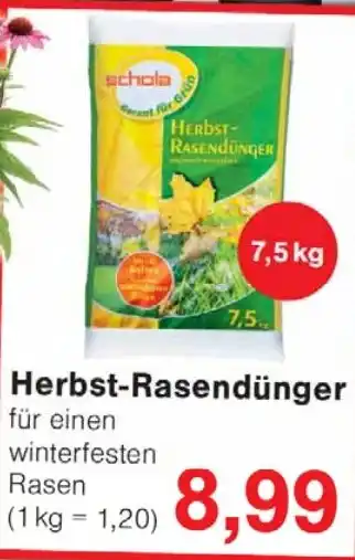 Wiglo Wunderland Herbst-Rasendünger Angebot