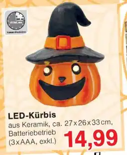 Wiglo Wunderland LED-Kürbis Angebot
