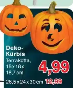 Jawoll Deko- Kürbis Angebot