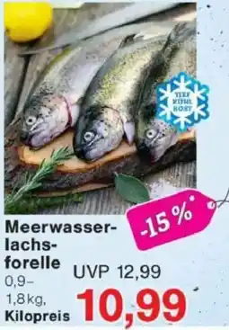 Jawoll Meerwasser- lachs- forelle Angebot