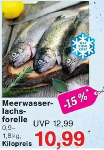 Jawoll Meerwasser- lachs- forelle Angebot
