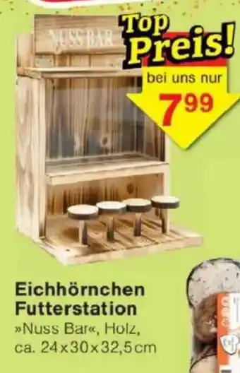 Jawoll Eichhörnchen Futterstation Angebot