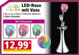 Norma LED-Rose mit Vase Angebot