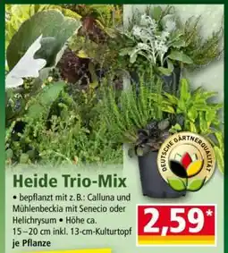 Norma Heide Trio-Mix Angebot