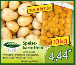 Norma Speisekartoffeln Angebot