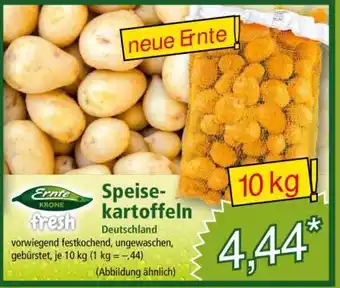 Norma Speisekartoffeln Angebot
