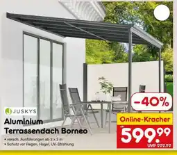 Netto Marken-Discount Aluminium Terrassendach Borneo Angebot