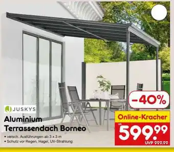 Netto Marken-Discount Aluminium Terrassendach Borneo Angebot