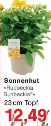 Jawoll Sonnenhut Angebot