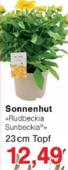 Jawoll Sonnenhut Angebot