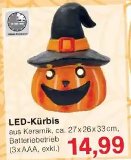 Jawoll LED-Kürbis Angebot