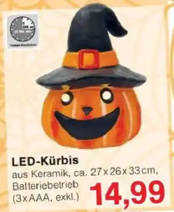 Jawoll LED-Kürbis Angebot