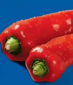 Lidl Rote Spitzpaprika Angebot