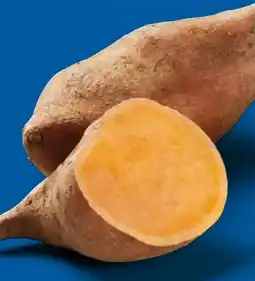 Lidl Süßkartoffeln Angebot