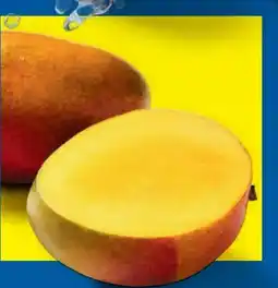 Lidl Mango Angebot