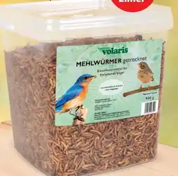 Thomas Philipps Volaris Mehlwürmer Angebot