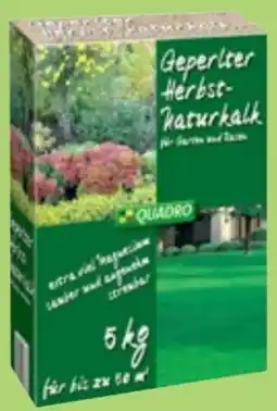 Thomas Philipps Quadro Herbst-Naturkalk Angebot