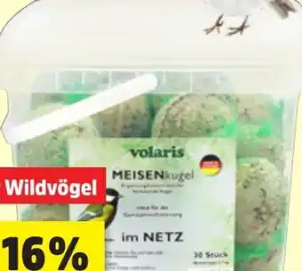 Thomas Philipps Volaris Meisenknödel Angebot