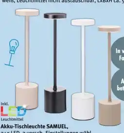 Trends Möbel Led-Tischleuchte Samuel Angebot