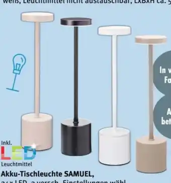 Trends Möbel Led-Tischleuchte Samuel Angebot